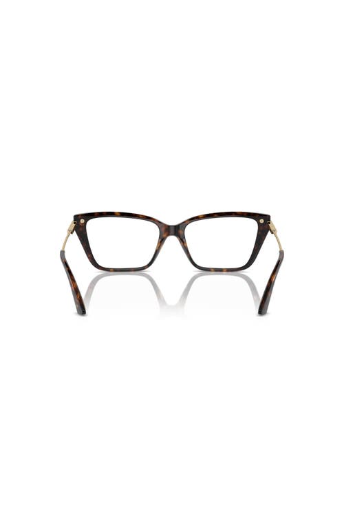 Jimmy Choo 55mm Cat Eye Optical Glasses In Brown