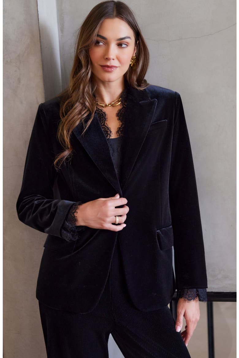 Lace Trim Velvet Blazer, Alternate, color, BLACK