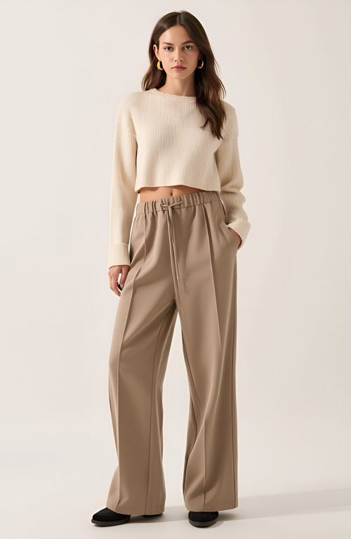 Modenaire Wide-leg Front-seam Elastic Drawstring Waist Trousers In Brown