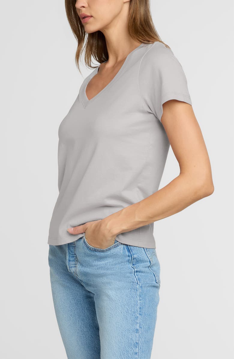 The Standard Stitch The Organic Cotton V-Neck Tee, Alternate, color, Oyster