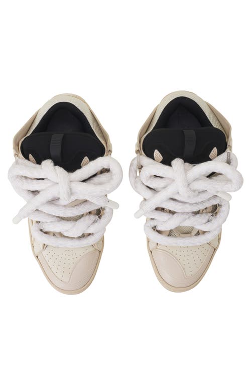 Lanvin Curb Sneakers In Leather With Snake Laces In Multi