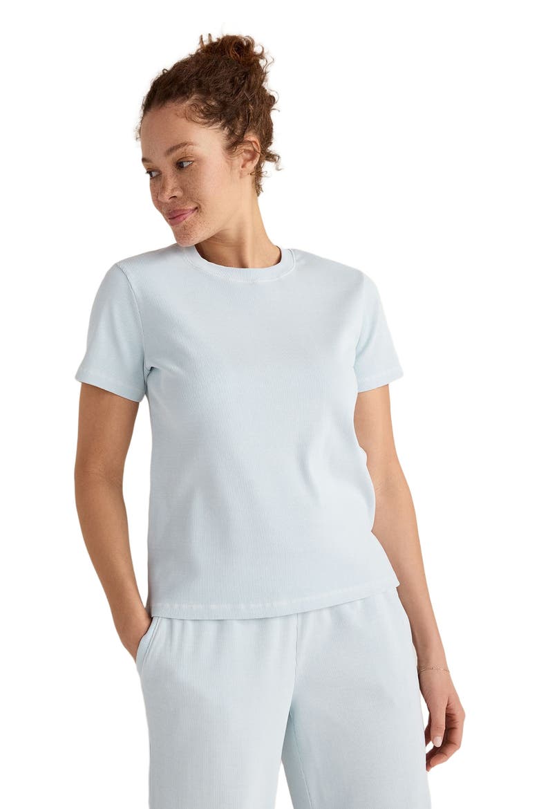 Organic Cotton Rib Knit Short Sleeve Tee, Main, color, Garment Dye Salt Water