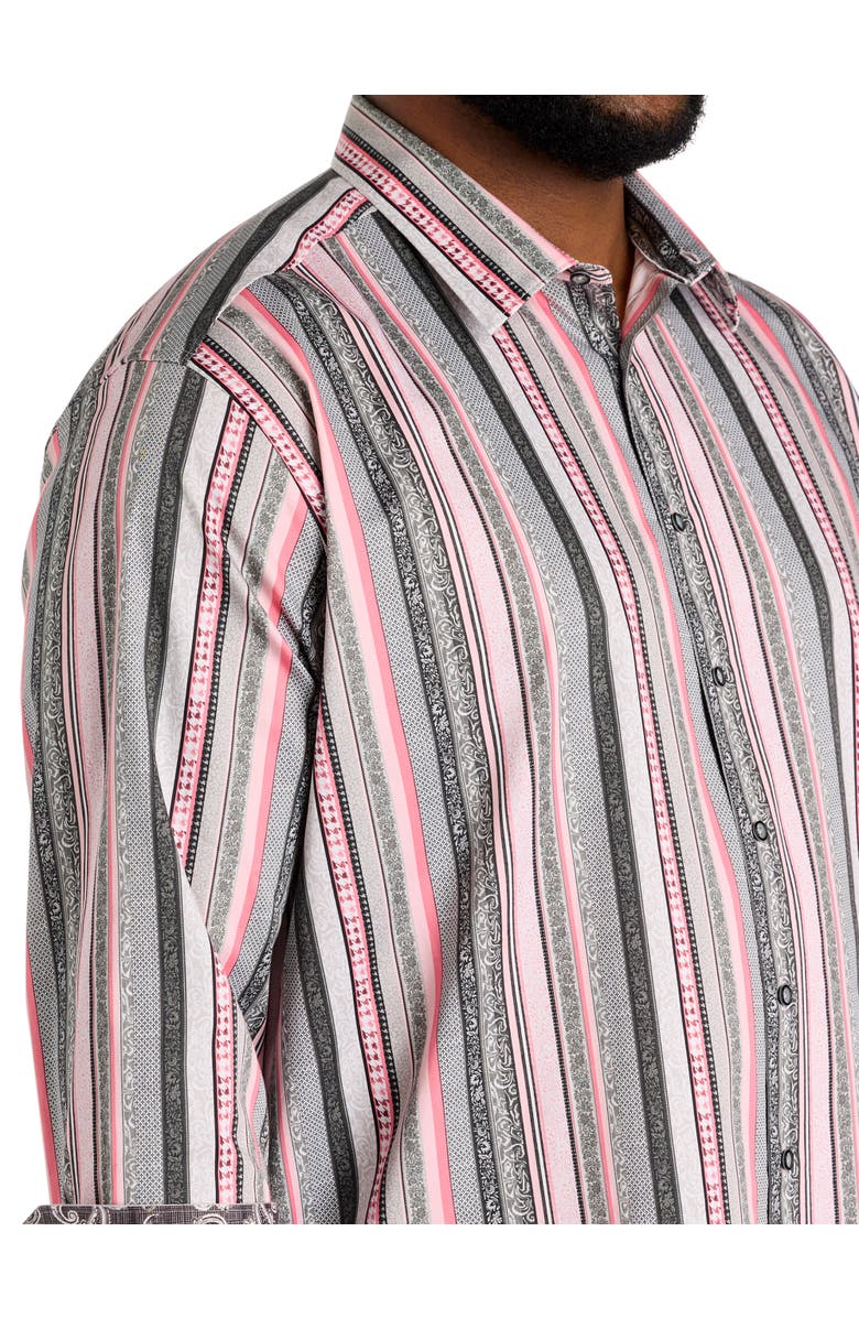 Robert Graham Big & Tall Bramshaw Sport Shirt, Alternate, color, Pink