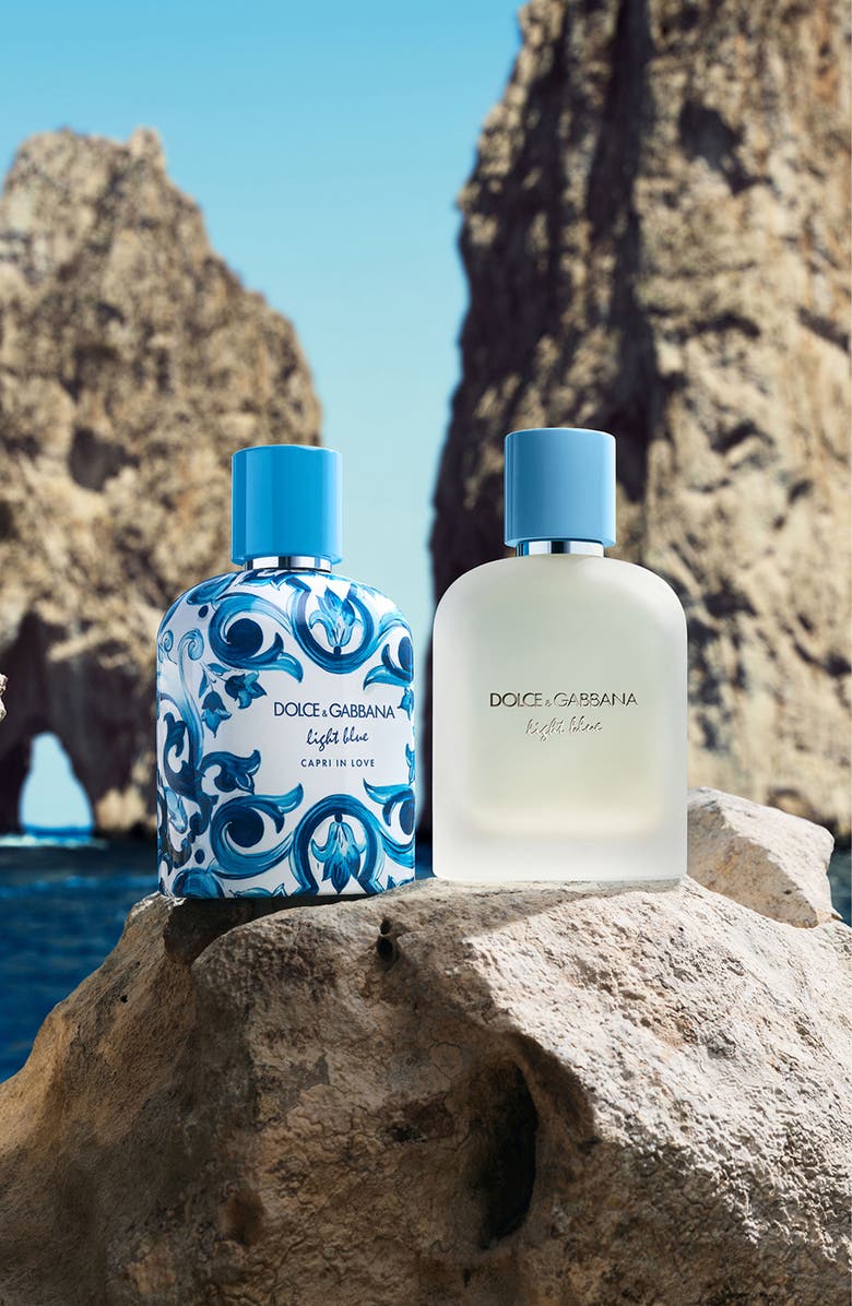 Dolce&Gabbana Light Blue Pour Homme Eau de Toilette, Alternate, color, 