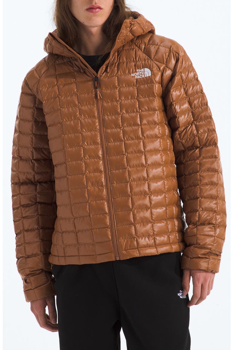 Thermoball Quilted Hooded Jacket, Main, color, BURNT UMBER