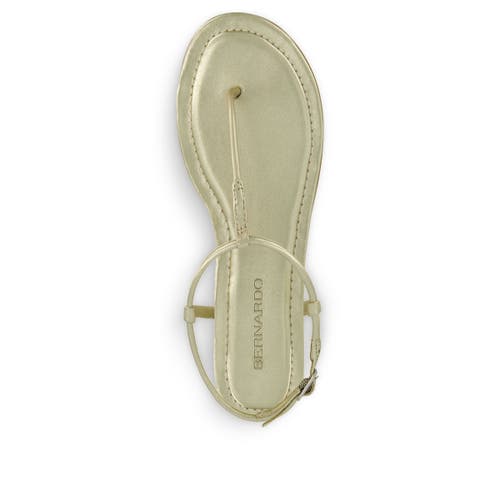 Shop Bernardo Footwear Hercu T-strap Sandal In Champagne