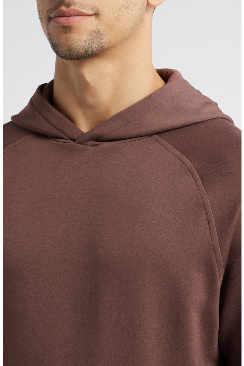 Fleece Hoodie, Alternate, color, CHESTNUT