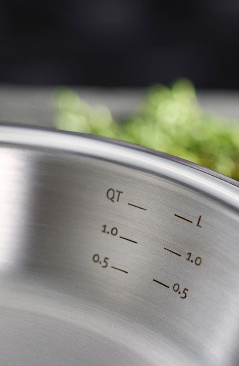 Fissler M5 Pro-Ply 5-ply Stainless Steel  Set, Alternate, color, Stainless Steel