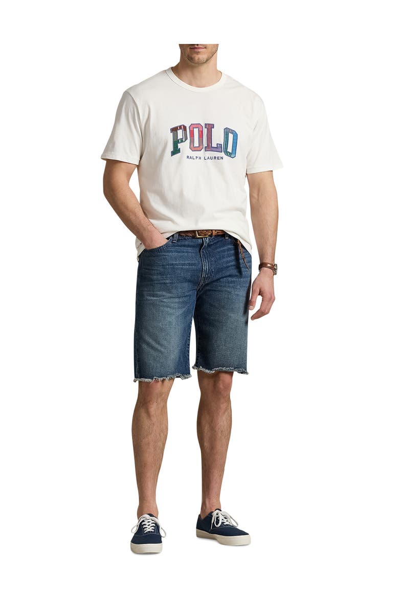 Polo Ralph Lauren Big & Tall India Plaid-Logo Jersey T-Shirt, Alternate, color, Nevis White