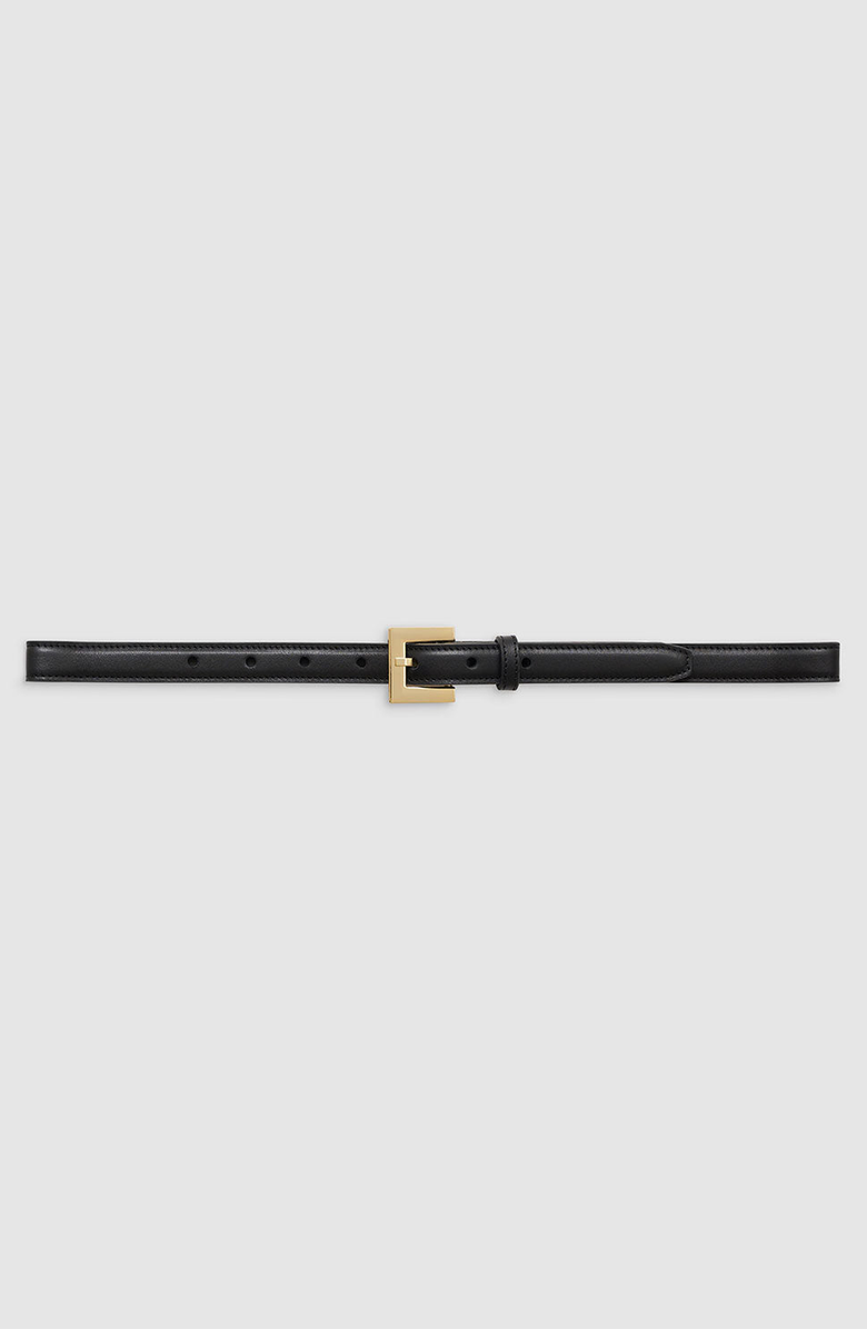 ANINE BING Nicola Belt, Main, color, Black With Gold