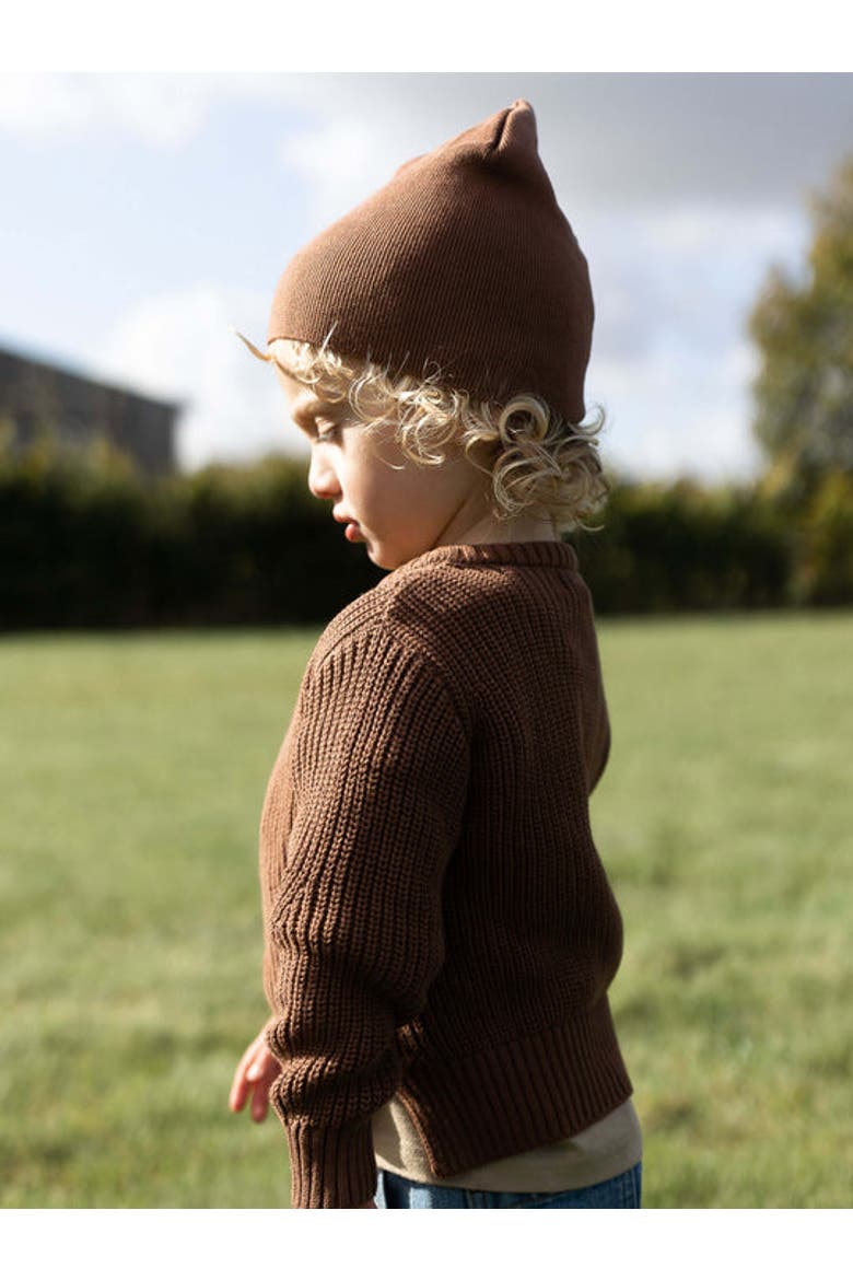 The Knit Beanie, Alternate, color, rust