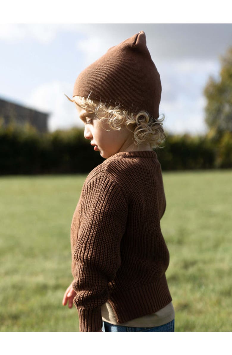 The Simple Folk The Knit Beanie, Alternate, color, Rust