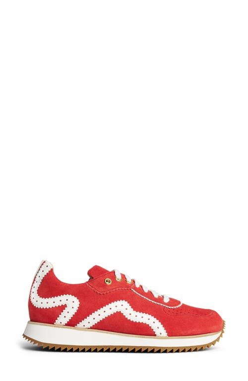 THE OFFICE OF ANGELA SCOTT THE OFFICE OF ANGELA SCOTT THE REMI SNEAKER