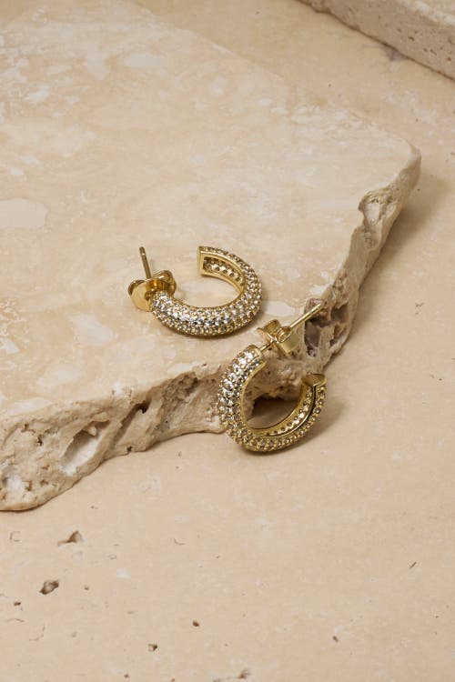Untamed Petals Brookes Crystal Hoops In Gold