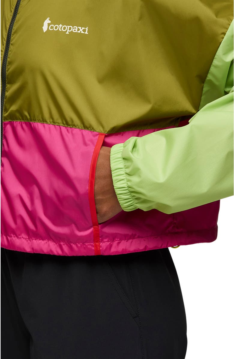 Cotopaxi Teca Crop Jacket - Women's, Alternate, color, Green Juice