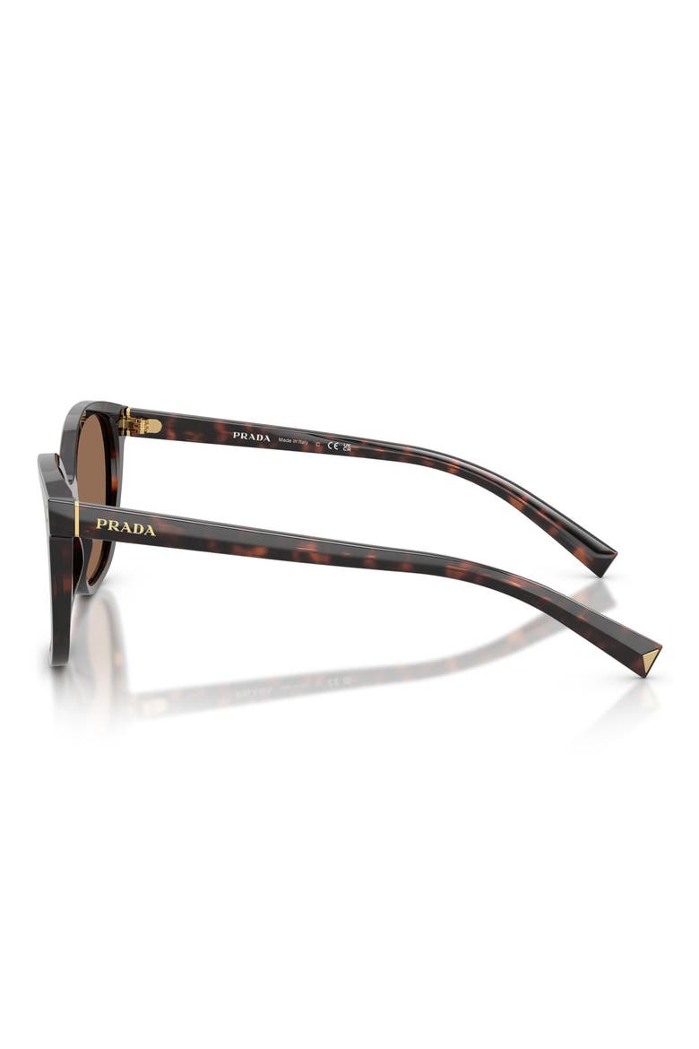 53mm Square Sunglasses, Alternate, color, TARTARUGA RADICA / DARK BROWN