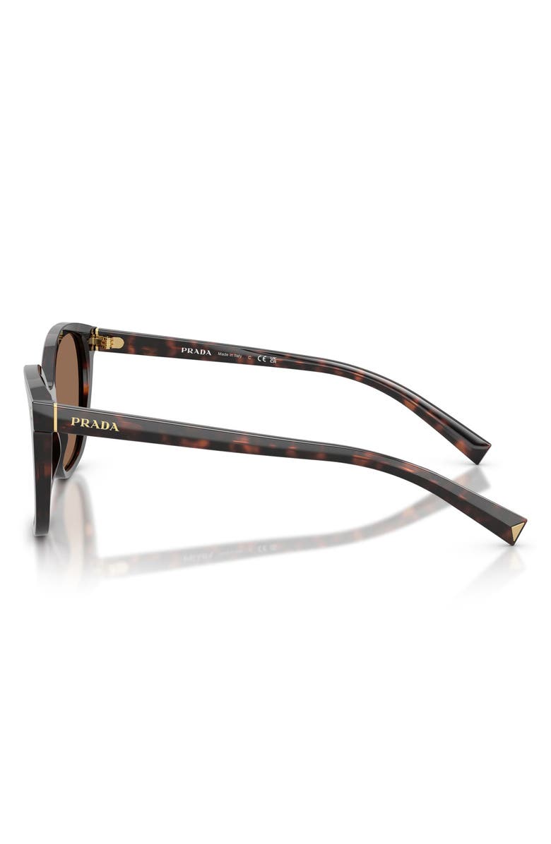 Prada 53mm Square Sunglasses, Alternate, color, Tartaruga Radica / Dark Brown