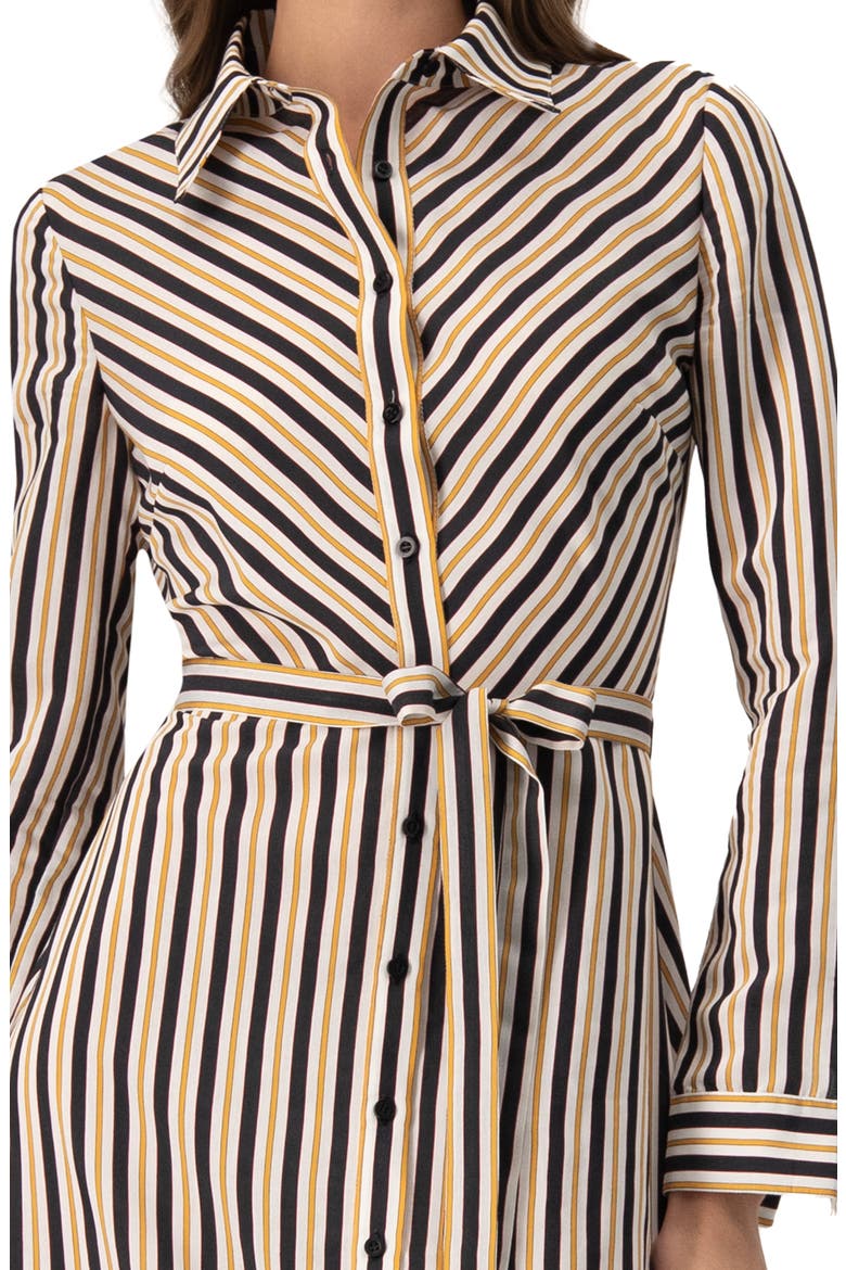 Long Striped Shirt Dress, Alternate, color, Striped