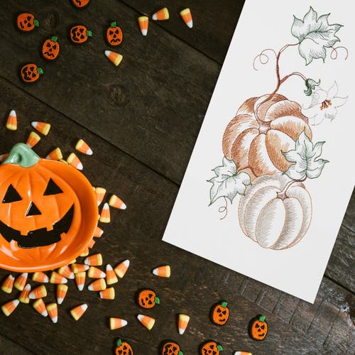 C & F Home C&f Home Pumpkins On Vine Harvest Fall Autumn Kitchen Dishtowel In Multi