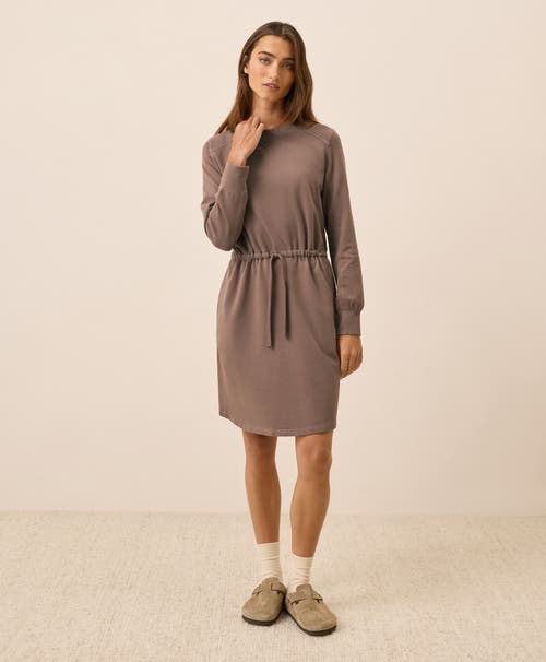 Pact Organic Cotton Cloudknit Sweatshirt Dress In Brown