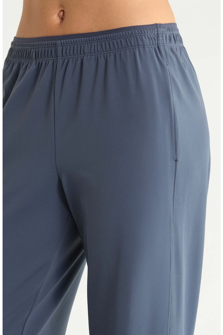 Zen Cinch Bottom Pants, Alternate, color, NAVY ARMADA