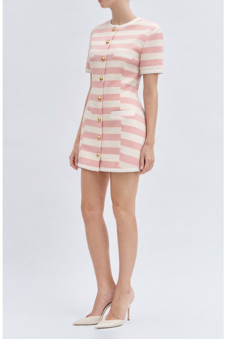 Taylor Stripe Minidress, Alternate, color, PINK IVORY STRIPE