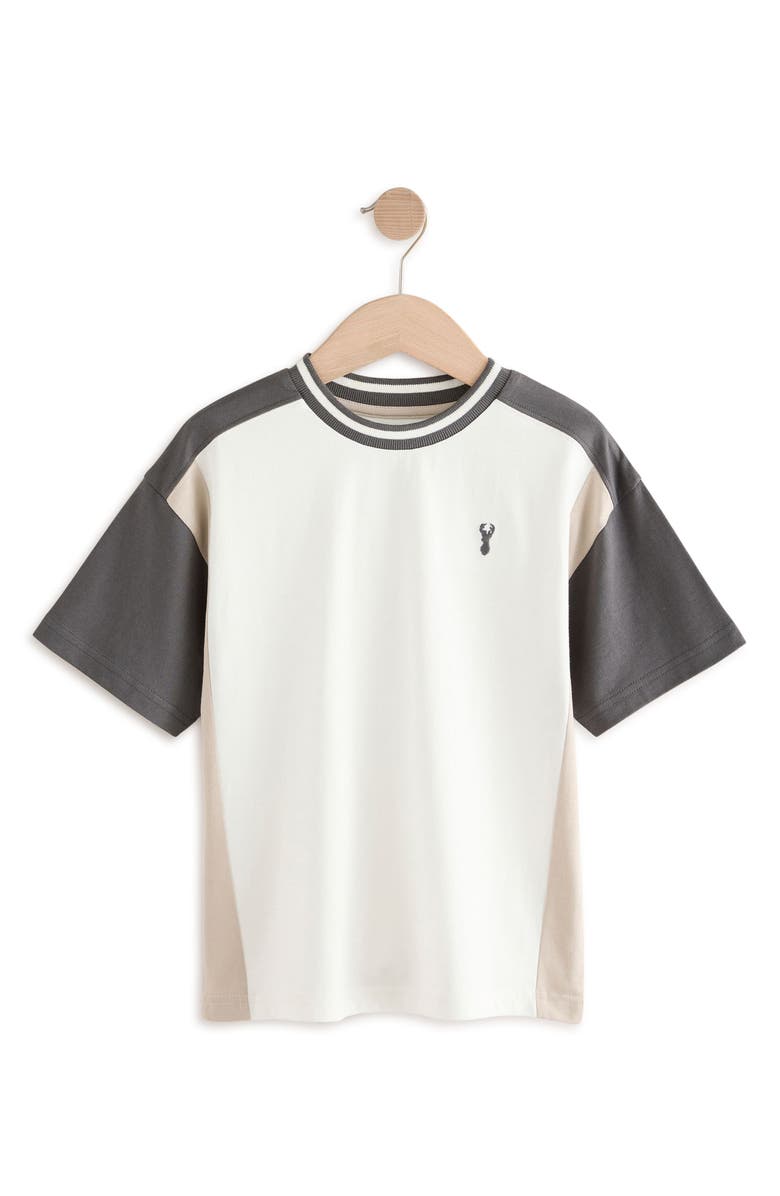 NEXT Kids' Assorted 3-Pack Cotton T-Shirts, Alternate, color,