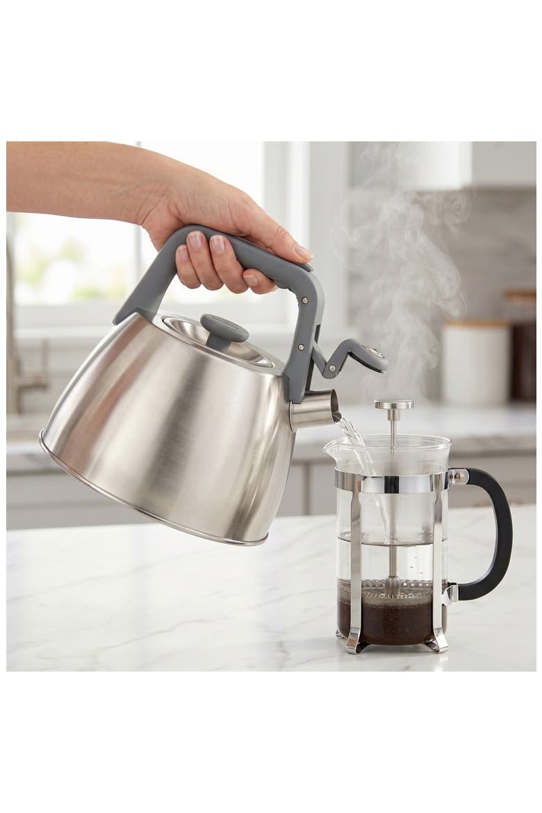 Leo Anthracite Stainless Steel Whistling Kettle, Alternate, color, GREY