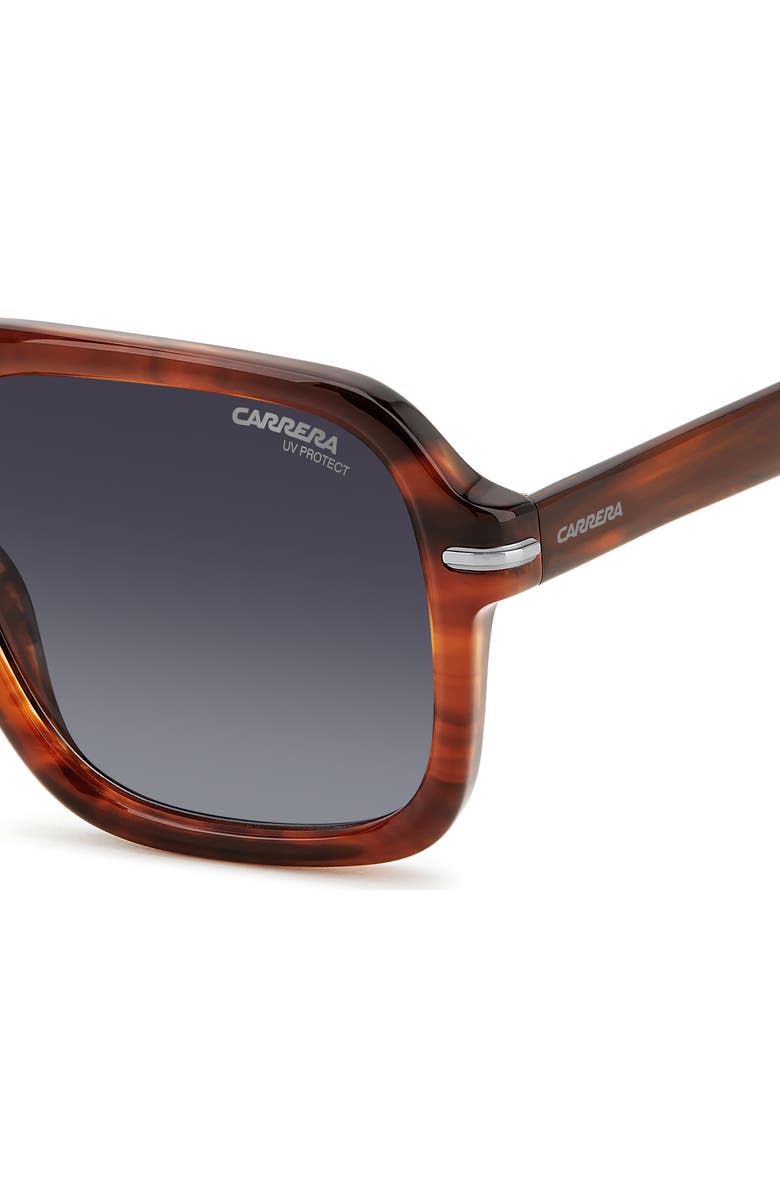Carrera Eyewear 55mm Navigator Sunglasses, Alternate, color, Brown Horn