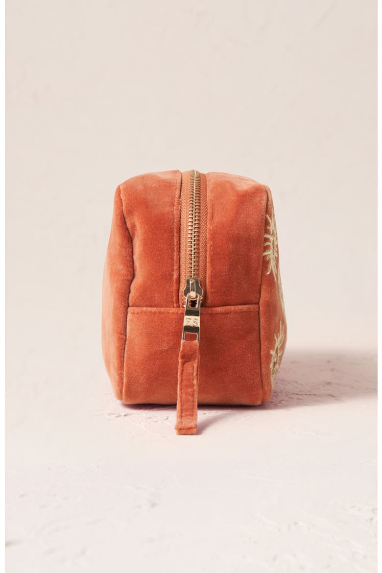 Sun Goddess Velvet Makeup Bag, Alternate, color, Rust