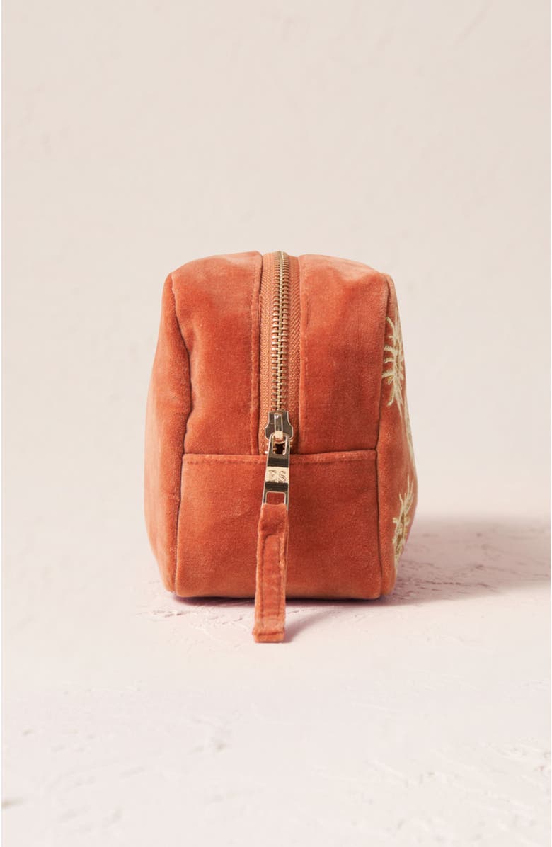 Elizabeth Scarlett Sun Goddess Velvet Makeup Bag, Alternate, color, Rust