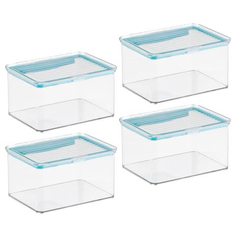 Small Food Storage Box with Airtight Seal - Set of 4 - Clear