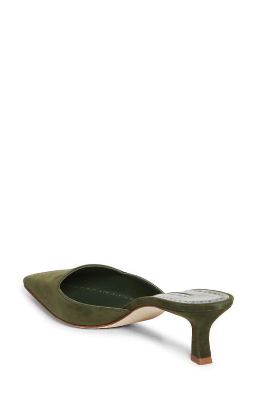 Manolo Blahnik Moiramu Pointed Toe Kitten Heel Mule