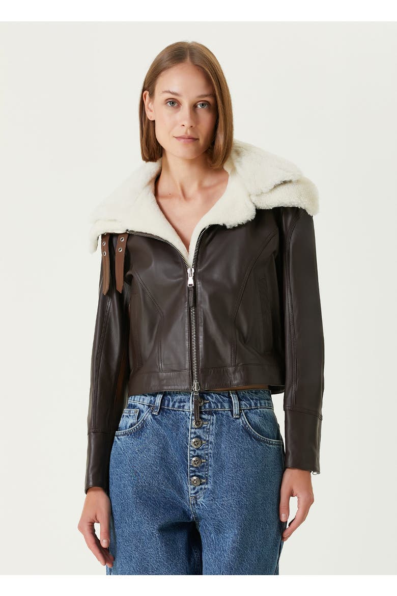 Double Collar Leather  Jacket, Alternate, color, BROWN