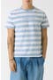 selected Blue Stripe