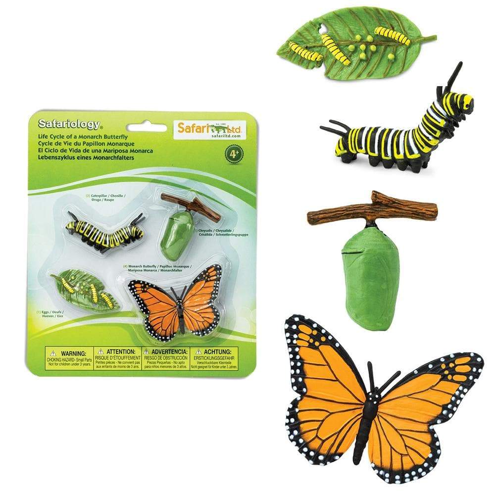 Safari Ltd. Life Cycle Of A Monarch Butterfly | Nordstrom