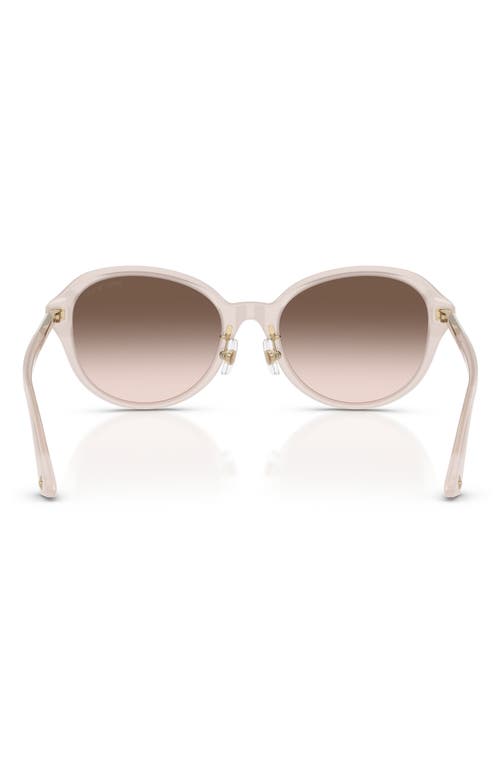Jimmy Choo 54mm Phantos Sunglasses