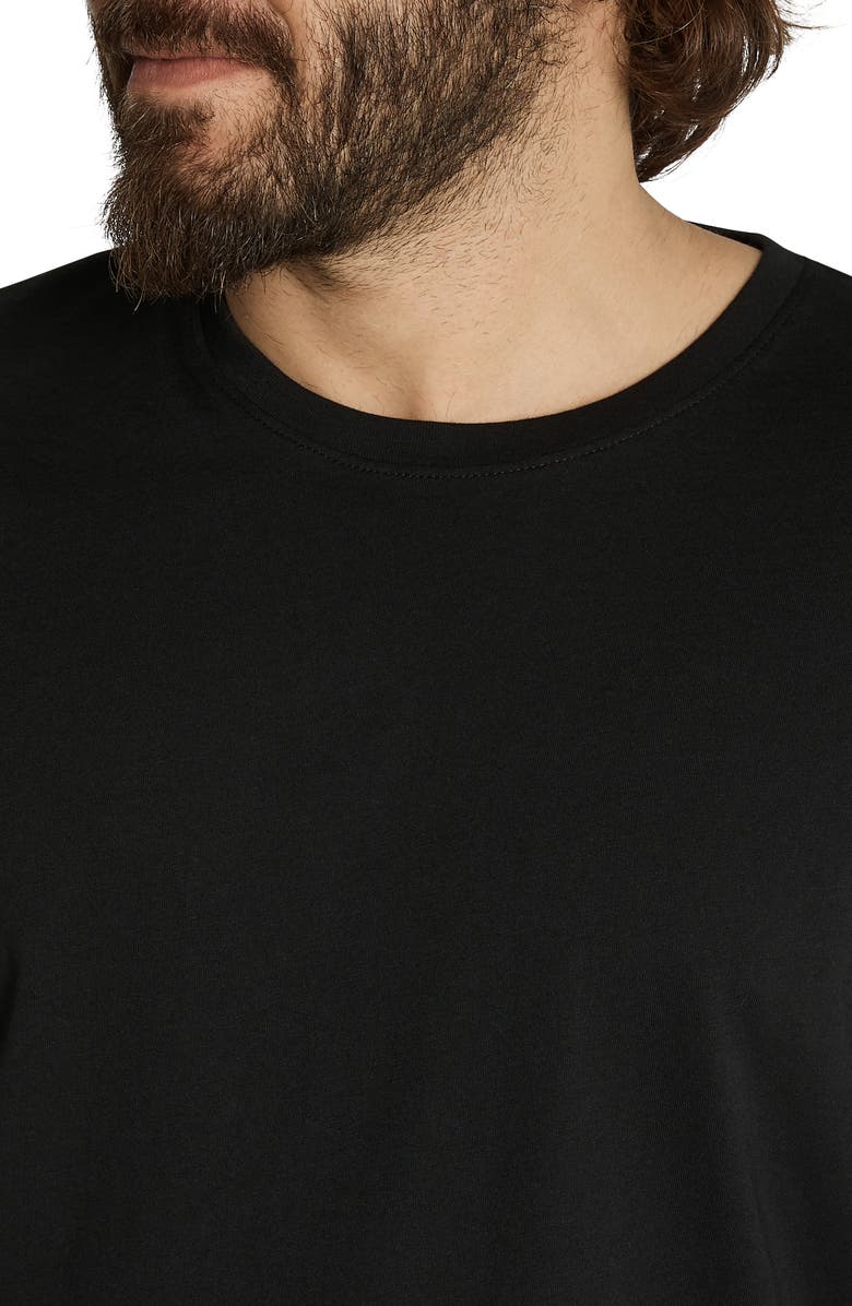 Johnny Bigg Essential Crewneck T-Shirt, Alternate, color,