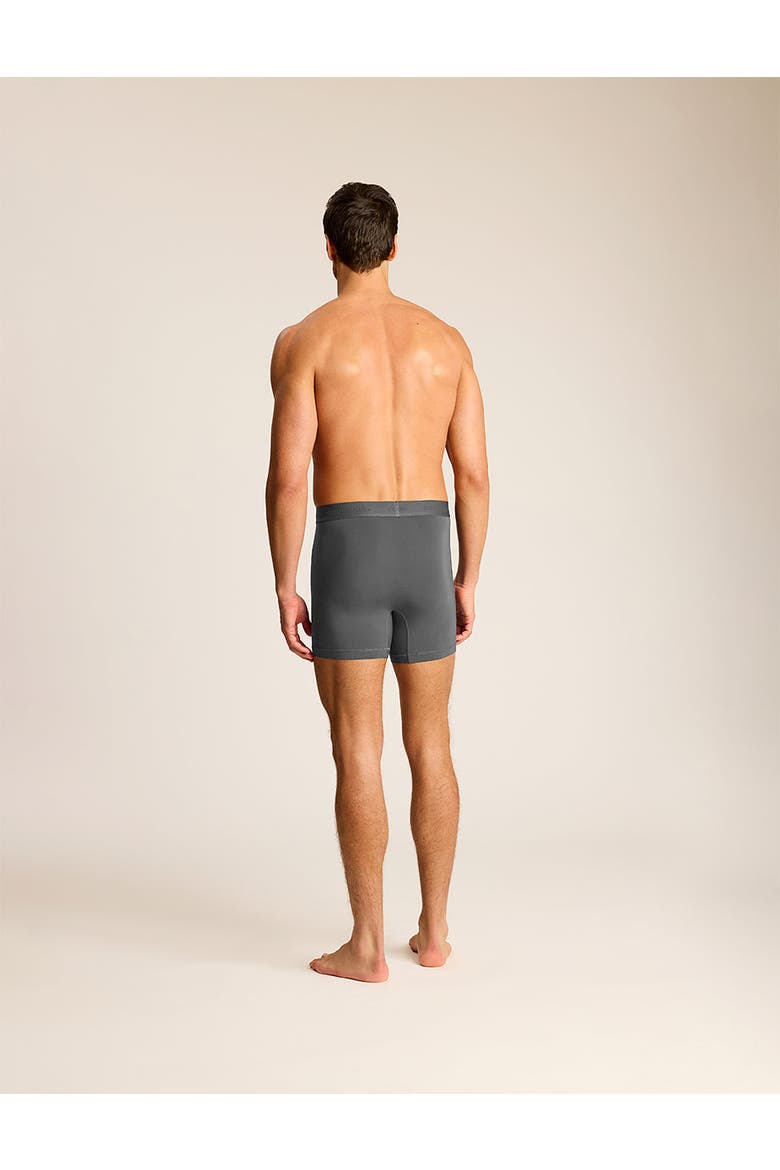 Essential Modal Relaxed Boxer Brief with Fly, Alternate, color, Titanium