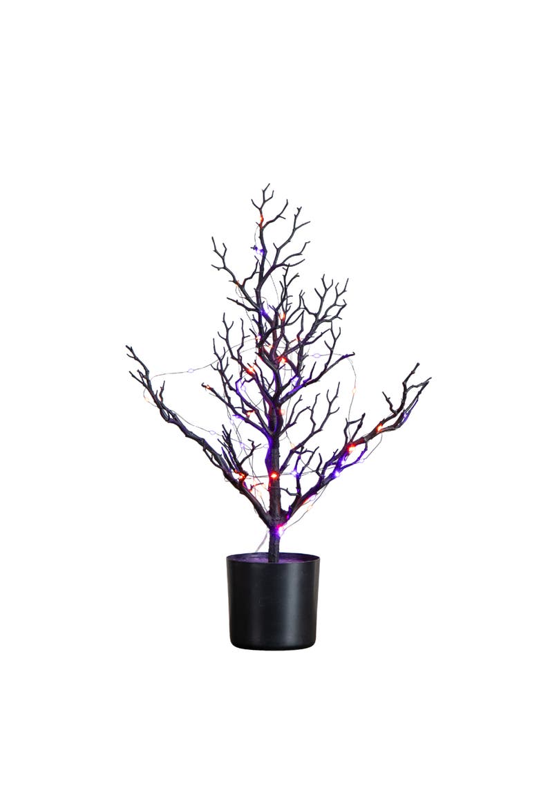 2-ft Pre-Lit Artificial Halloween Black Spooky Twig Tree with 60 Orange & Purple Copper Wire String LED Lights, Main, color, Black
