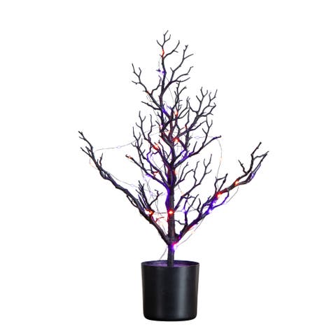2-ft Pre-Lit Artificial Halloween Black Spooky Twig Tree with 60 Orange & Purple Copper Wire String LED Lights