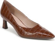 Naturalizer Tylan Pointed Toe Pump