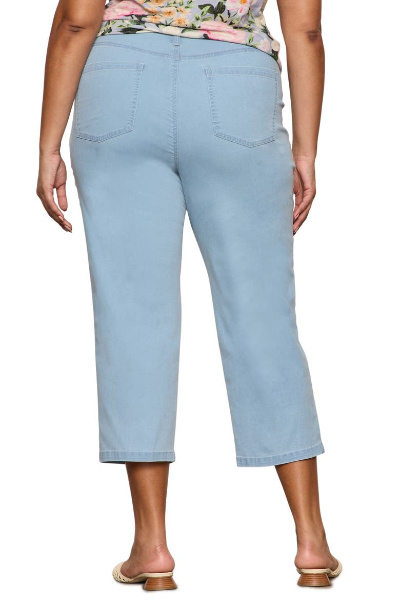 Retreat Mid Rise Crop Straight Leg Pants, Alternate, color, SKYLINE BLUE