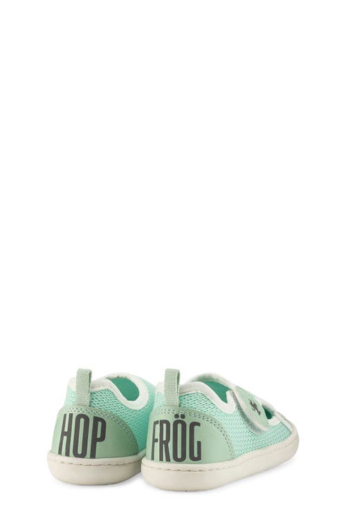 Hopfrög Kids Kids' Multi Mix Barefoot Sneaker In Green Mix