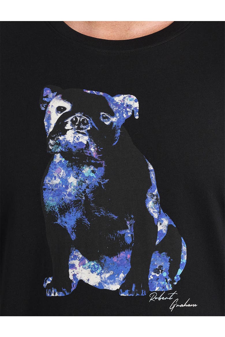 Big & Tall X-Ray Graham Graphic Tee, Alternate, color, BLACK