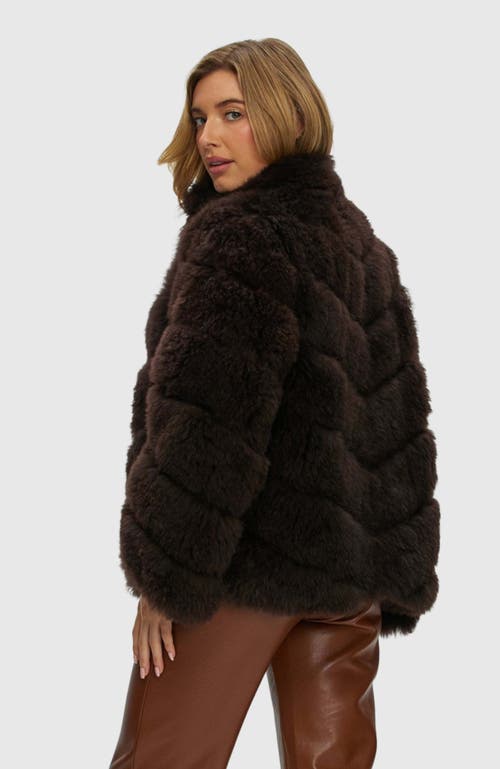 Gorski Select Cashmere Goat Jacket In Brown