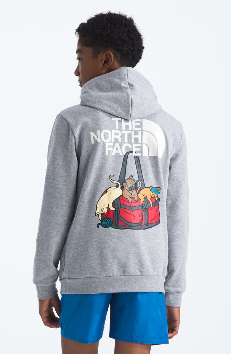 The North Face Kids' Ember Fade Pullover Hoodie, Alternate, color, Tnf Pale Grey Heather