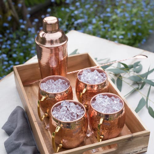 Twine Hammered Mule Mug And Cocktial Shaker In Copper