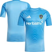 adidas Men's adidas Blue LA Galaxy 2025 Goalkeeper Jersey