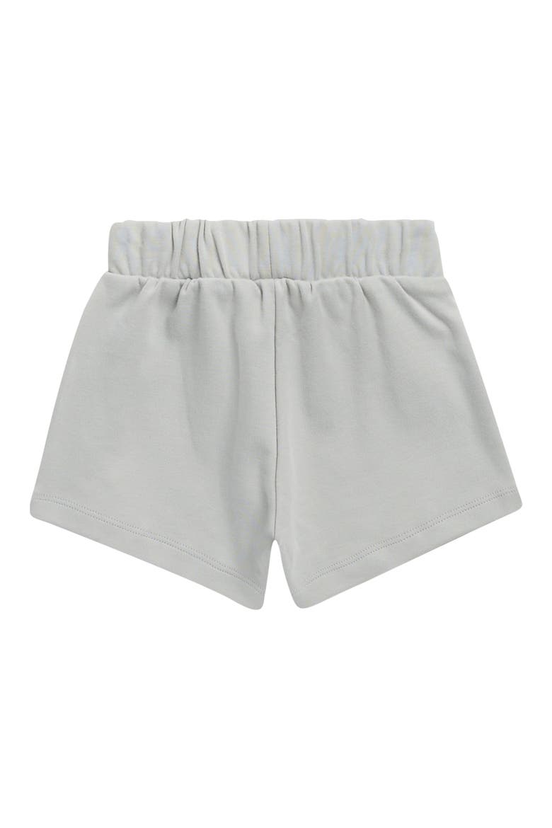 Play Organic Cotton Shorts, Alternate, color, SKY